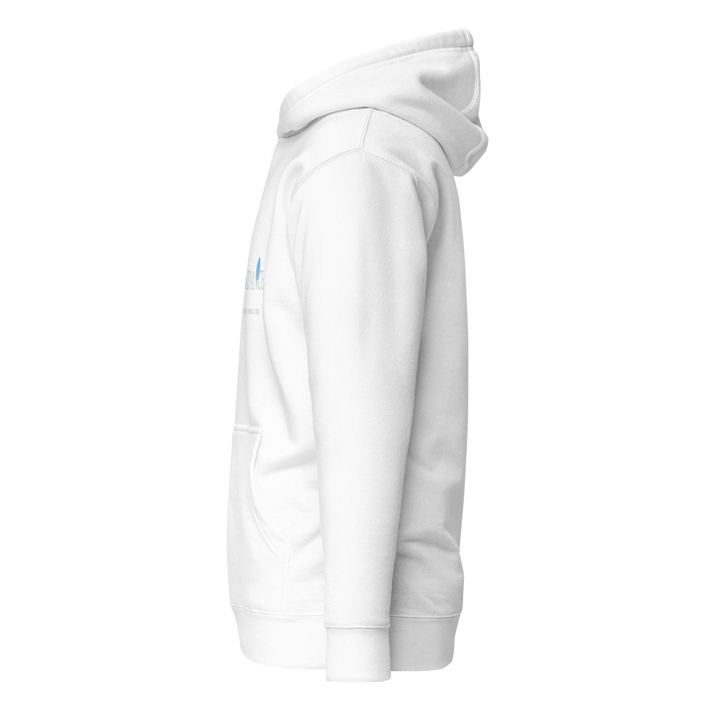 ASC3NDANCE HOODIE